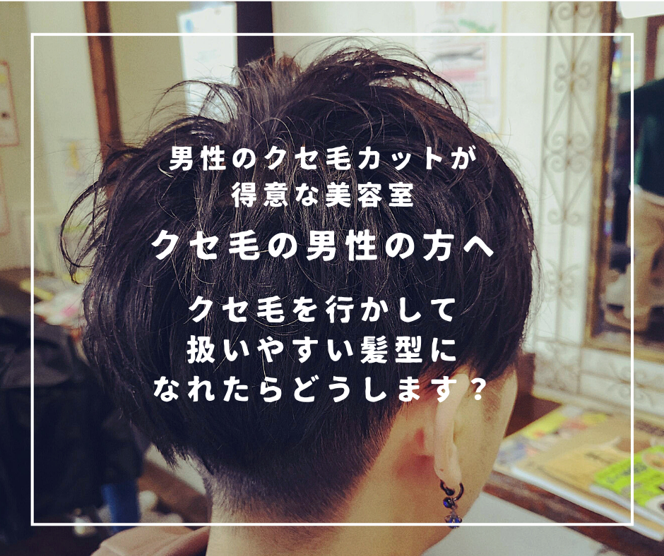 白、写真、ジョーク・旅行、Facebook投稿